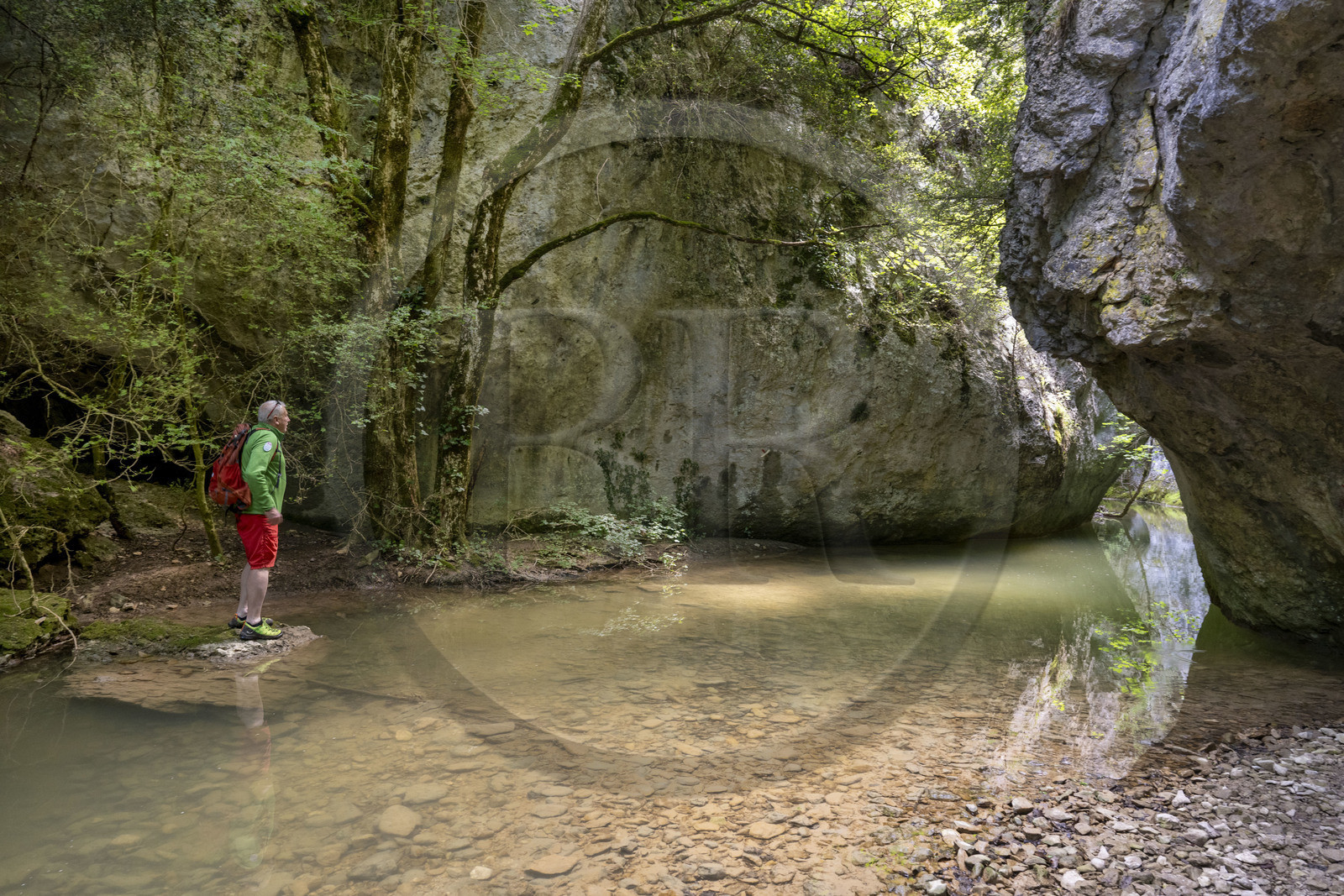 France, Vaucluse (84), Parc naturel régional du Mont Ventoux, Monieux, Gorges de La Nesque, le guide et expert des lieux Daniel Villanova en bordure de la Nesque