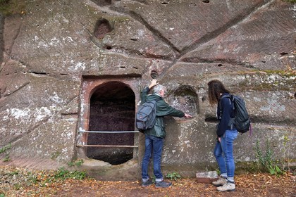 France, Bas-Rhin (67), Parc naturel régional des Vosges du Nord, Niedersteinbach, foret domaniale de Steinbach, ruines du chateau de Wasigenstein, Mathias Heissler, architecte du patrimoine au conseil départemental du Bas-Rhin, montre sur la paroi des canalisations qui sont taillées pour recueillir l’eau et l’amener vers une citerne