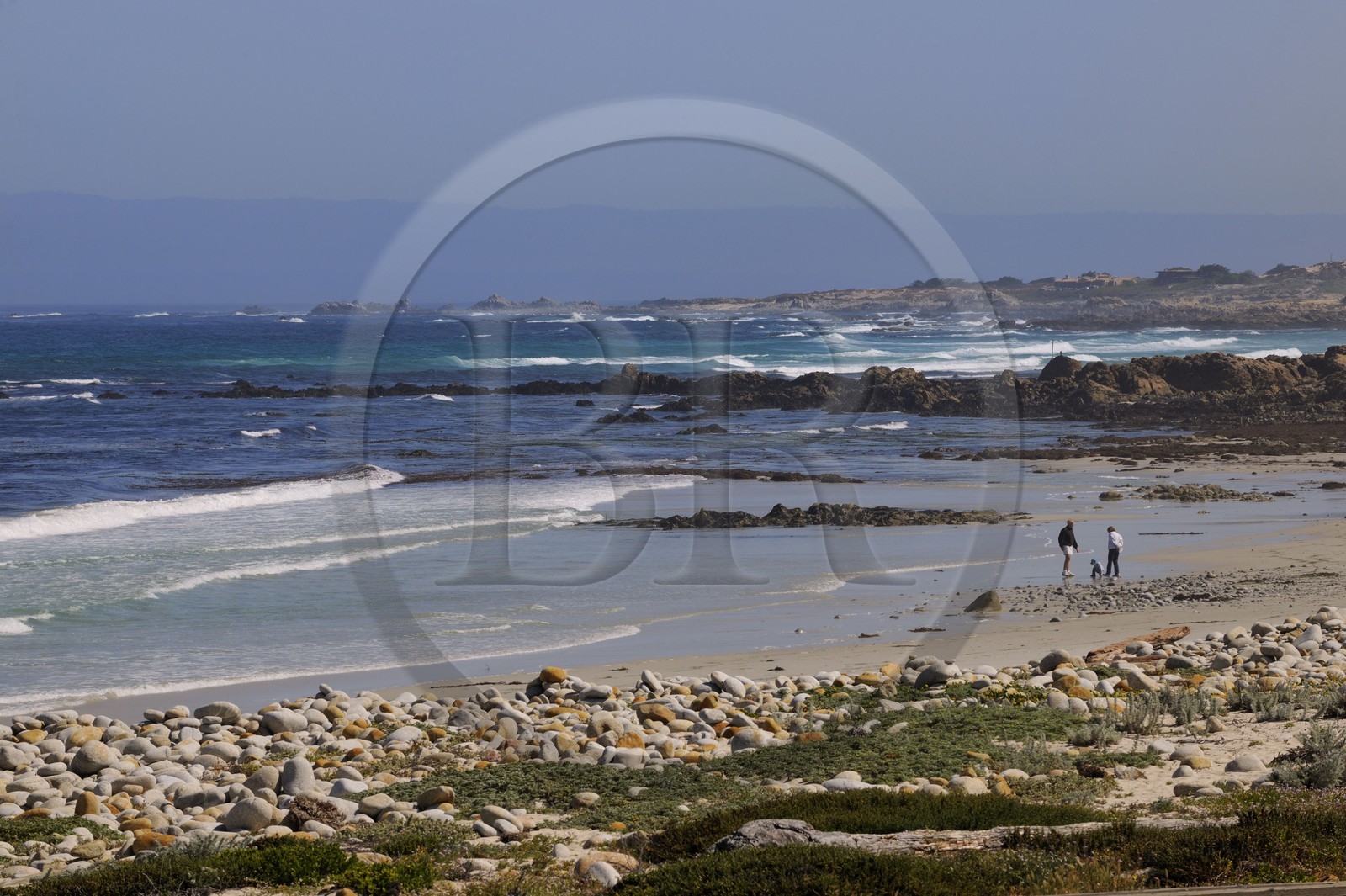 Etats-Unis, Californie, 17 mile drive, Spanish Bay