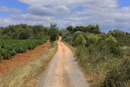 France, Hérault (34), région de Pinet, la voie Domitienne (Via Domitia), tronçon bassin de Thau, en dehors des villes c'est un chemin en terre battue sur des couches stratifiées de gravier et de cailloutis