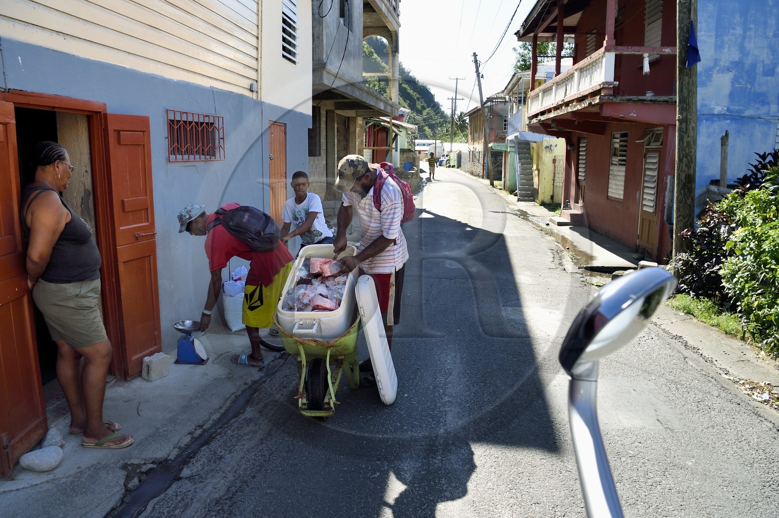 Caribbean, Dominica Island, Pointe-Michel, itinerant fish seller