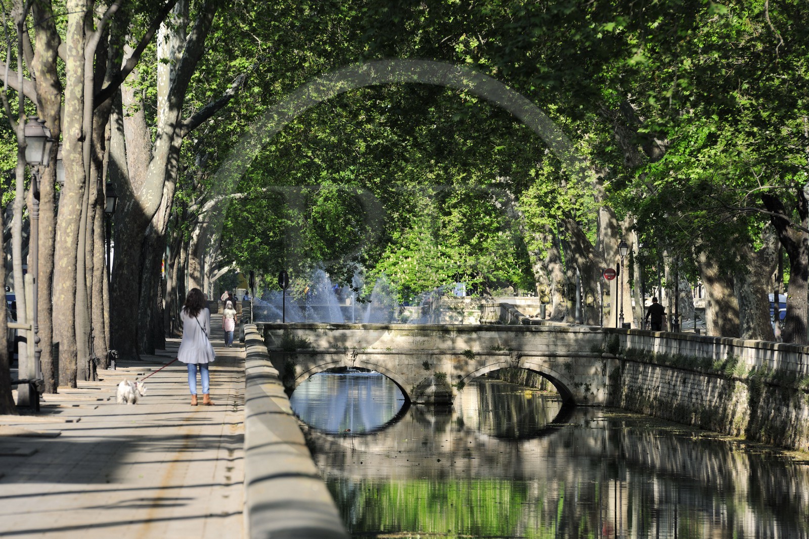 France, Gard (30) Nimes, les quais de la fontaine