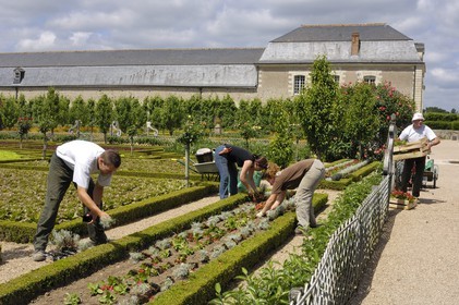 France, Indre et Loire, Loire Valley listed as World Heritage by UNESCO, Chateau de Villandry owned by Henry and Angelica Carvallo, formal gardens (jardins à la française)