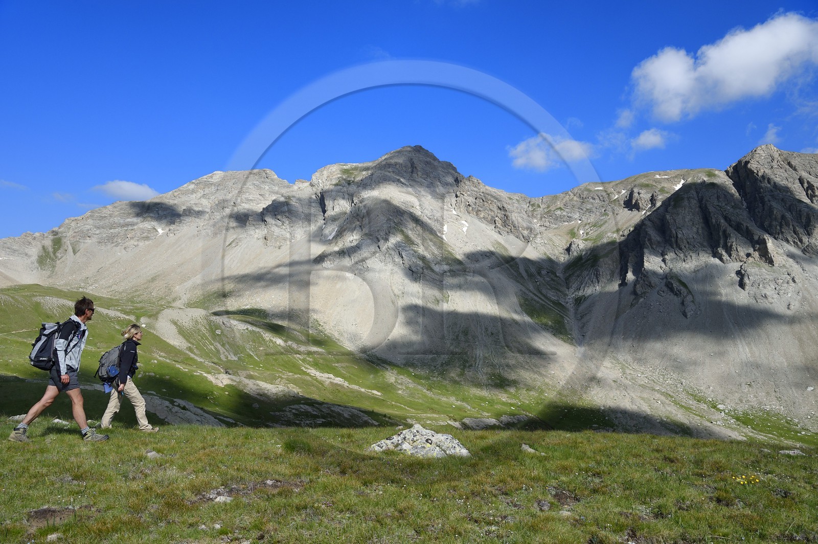 France, Alpes de Haute Provence, Uvernet Fours, Mercantour National Park, Ubaye valley, Cayolle pass (2326 m), hiking trail that climbs through the alpine lawn on the lake tour under the mountain top of the Eagle Hole