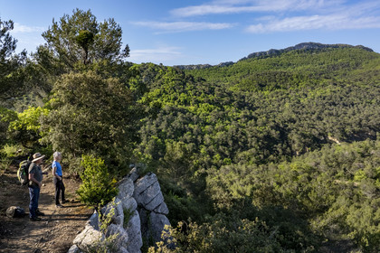 France, Vaucluse, Dentelles de Montmirail mountains, Crestet, the Saint-Amand ridge seen from the South from the GR de Pays towards the Croix de Verrière (aerial view)