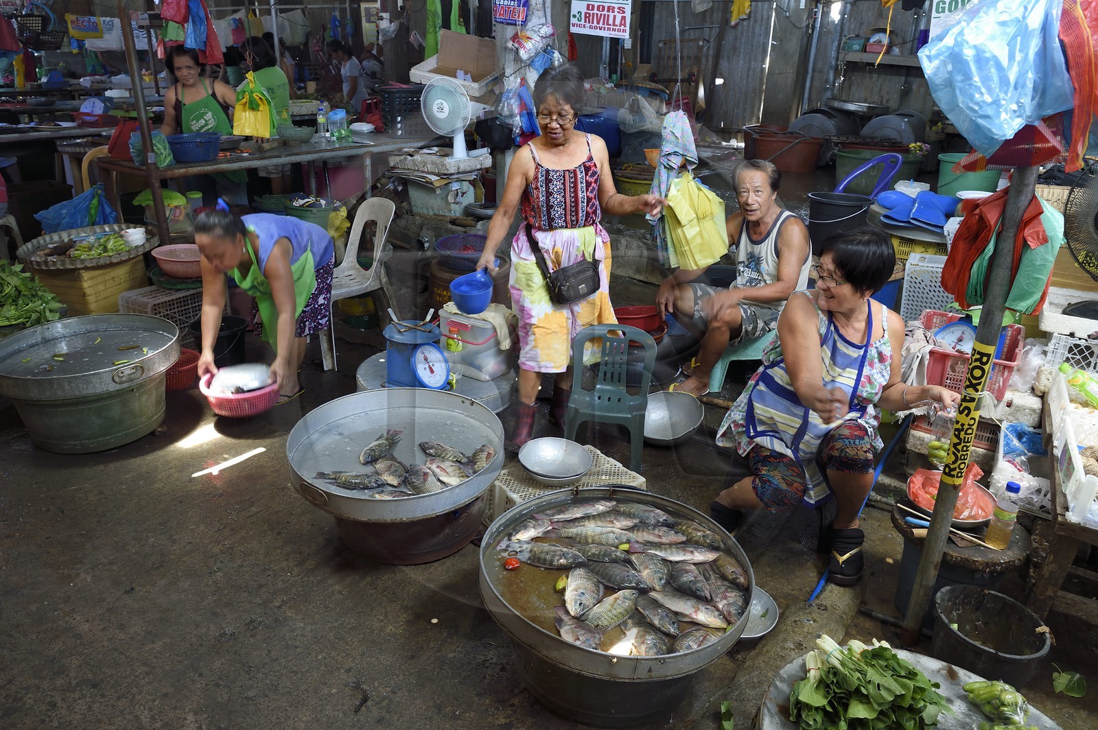 Philippines, province of Tarlac, Victoria, the market, sale of live fish