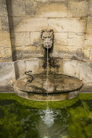 France, Hérault (34), Montpellier, centre historique appelé l’Ecusson, L'Hotel Haguenot, hotel particulier appelée folie montpelliéraine de la deuxième moitié du XVIIIème siècle, la fontaine monumentale