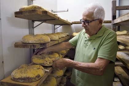 France, Var (83), La Dracénie, village de Châteaudouble, ferme fromagère La Pastourelle,  la fromagerie, affinage du fromage Le Chèvrefleur
