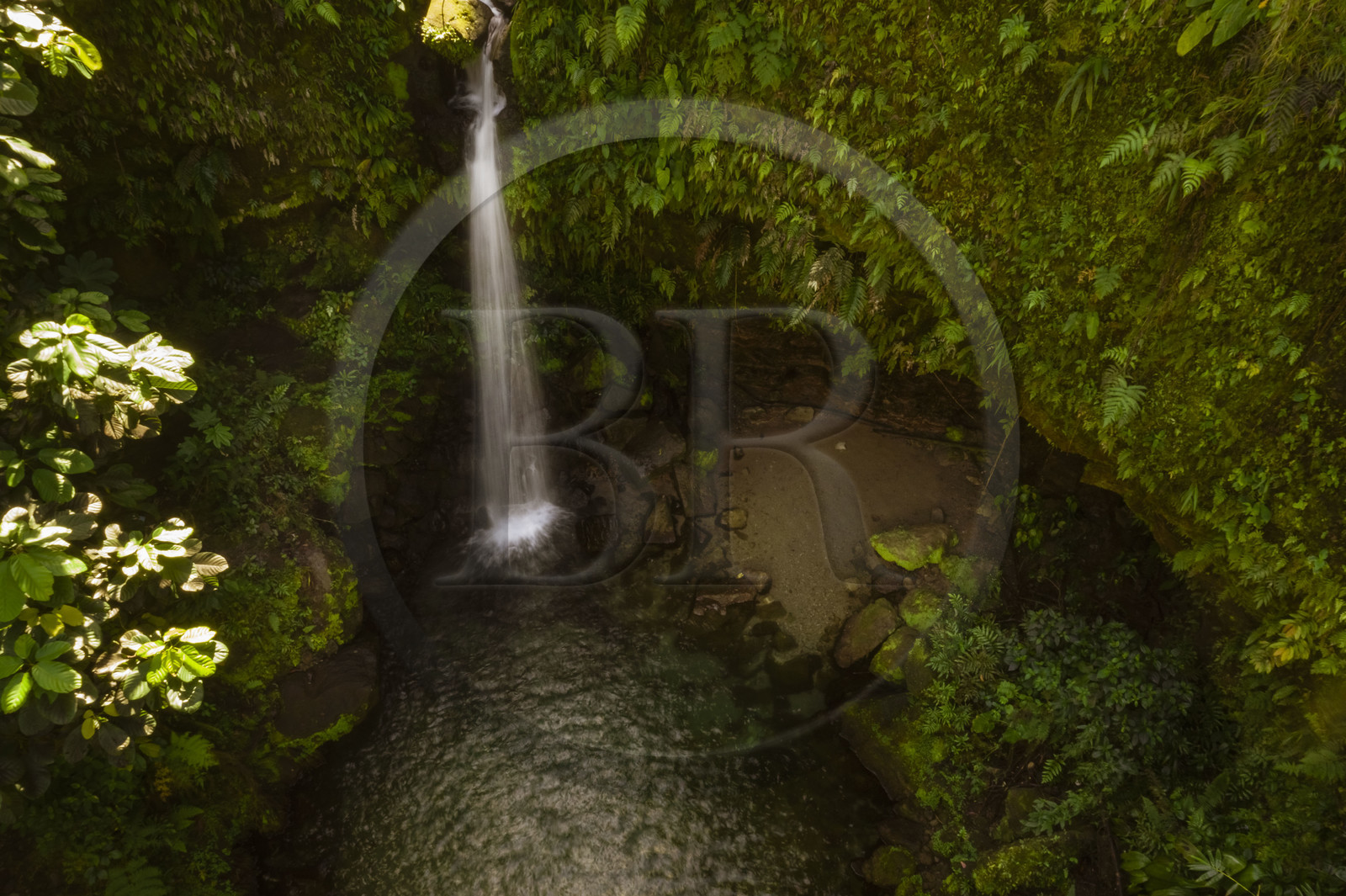 Caribbean, Dominica Island, Castle Bruce, Morne Trois Pitons National Park listed as World heritage by UNESCO, in the tropical undergrowth, Emerald Pool and its waterfall (aerial view)