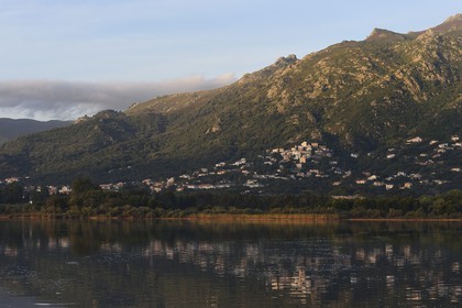 France, Haute Corse, Biguglia, the banks of the pond of Biguglia (Stagnu di Chiurlinu), nature reserve of Corsica (RNC)