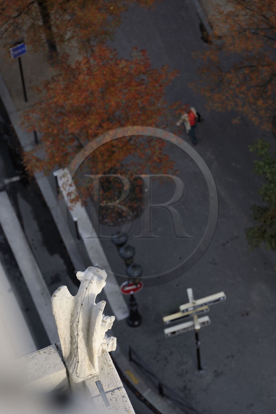 France, Paris (75), île de la Cité, la cathédrale Notre-Dame, les chimères observent la ville