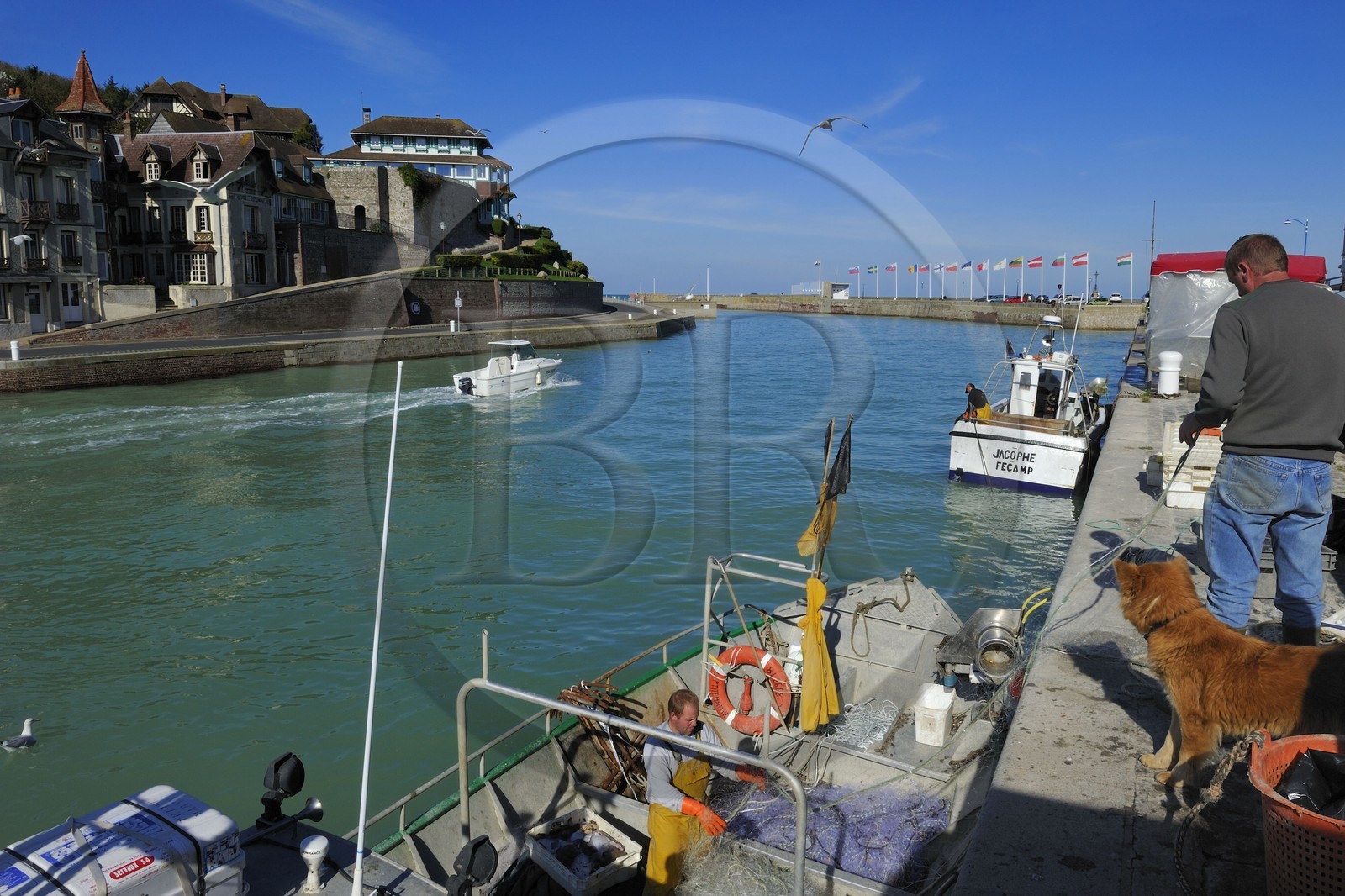 France, Seine-Maritime (76), Saint-Valery-en-Caux, l'entrée du port de pêche, débarquement de la pêche du jour