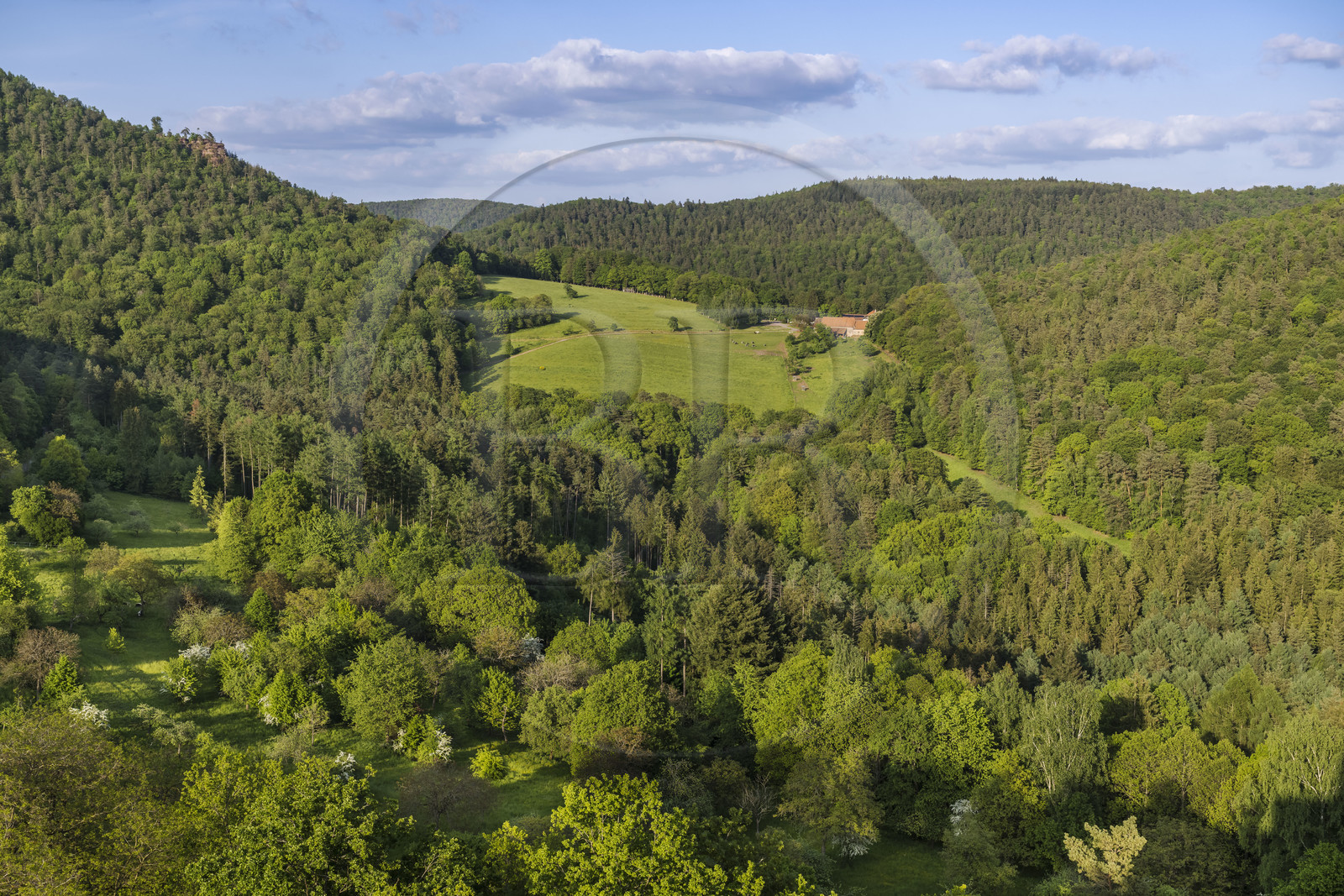 France, Bas-Rhin (67), Parc naturel régional des Vosges du Nord, Lembach, vergers du Fleckenstein et ferme restaurant Au Gimbelhof en arrière plan