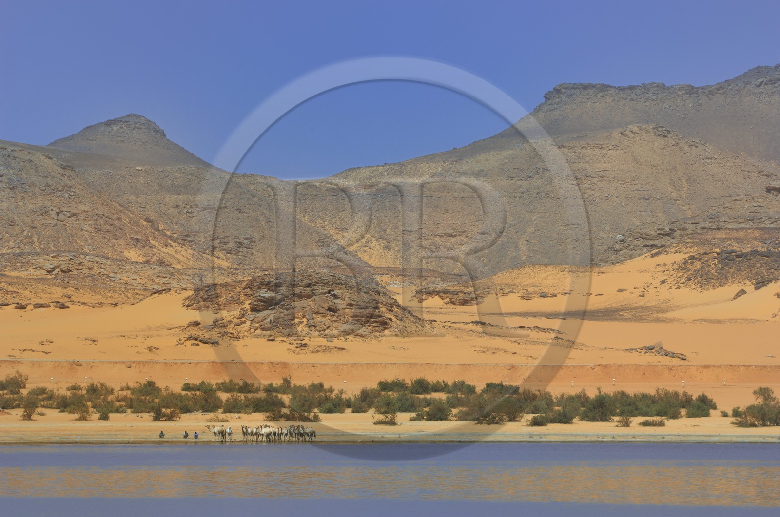Egypte, Haute Egypte, Lac Nasser, désert de Nubie, site de Ouadi es-Seboua ou vallée des lions, le lac Nasser