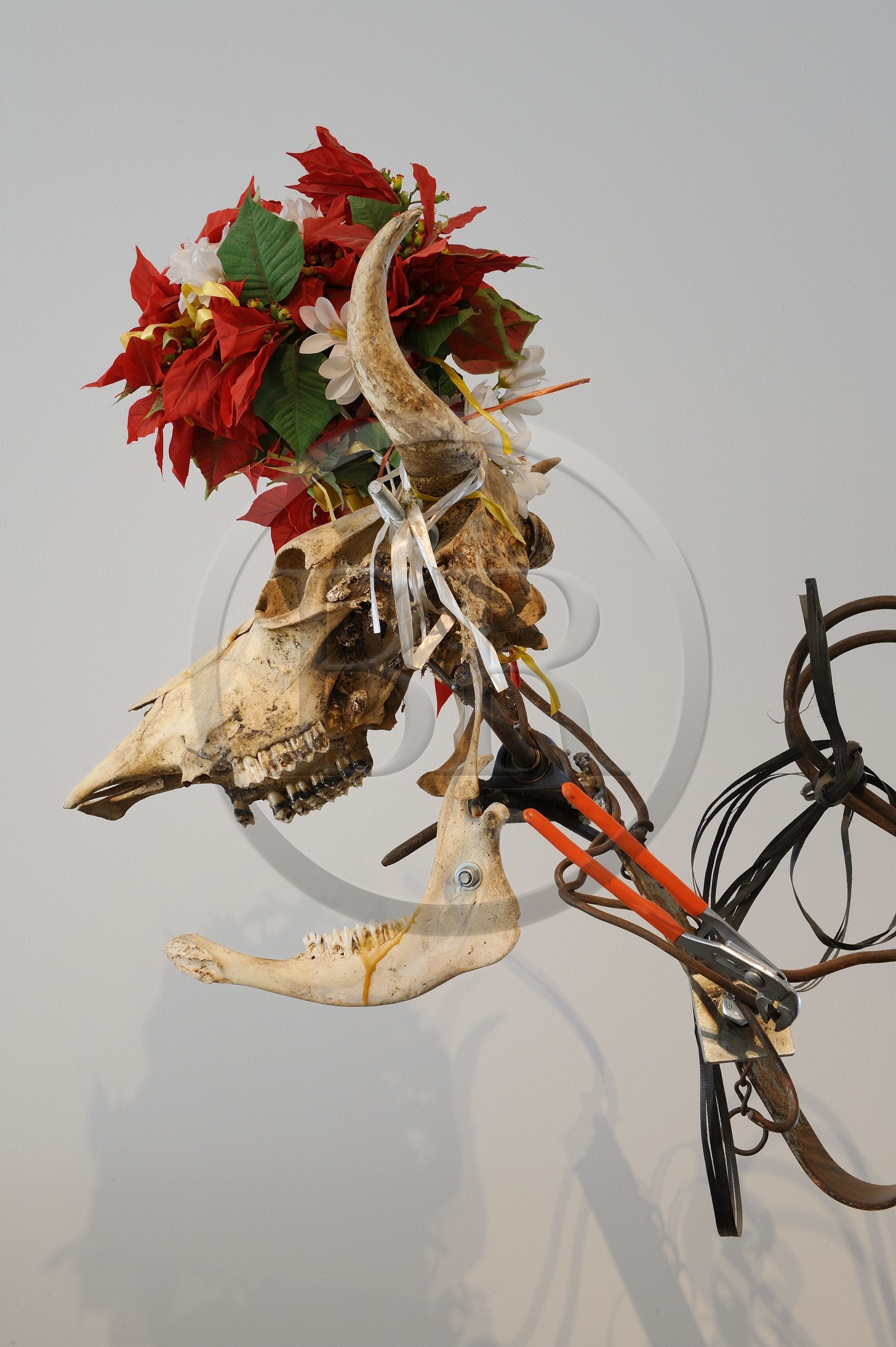 Suisse, Bâle, musée Tinguely