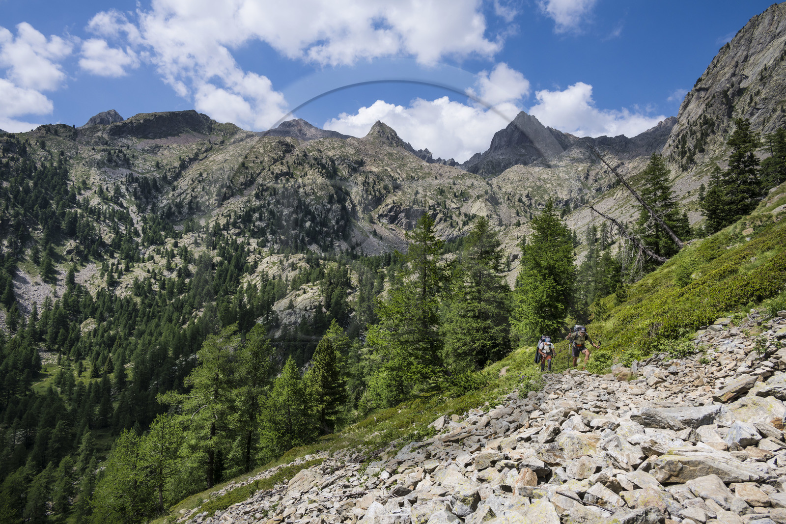 France, Alpes-Maritimes (06), parc national du Mercantour, Haute-Vésubie, Saint-Martin-Vésubie, Val du Haut Boréon, randonneurs en provenance du refuge de Cougourde et traversant un pierrier en marche pour le lac de Trécolpas, le Mont Pelago à gauche et la Cime Guilié (2999m) à droite en arrière-plan