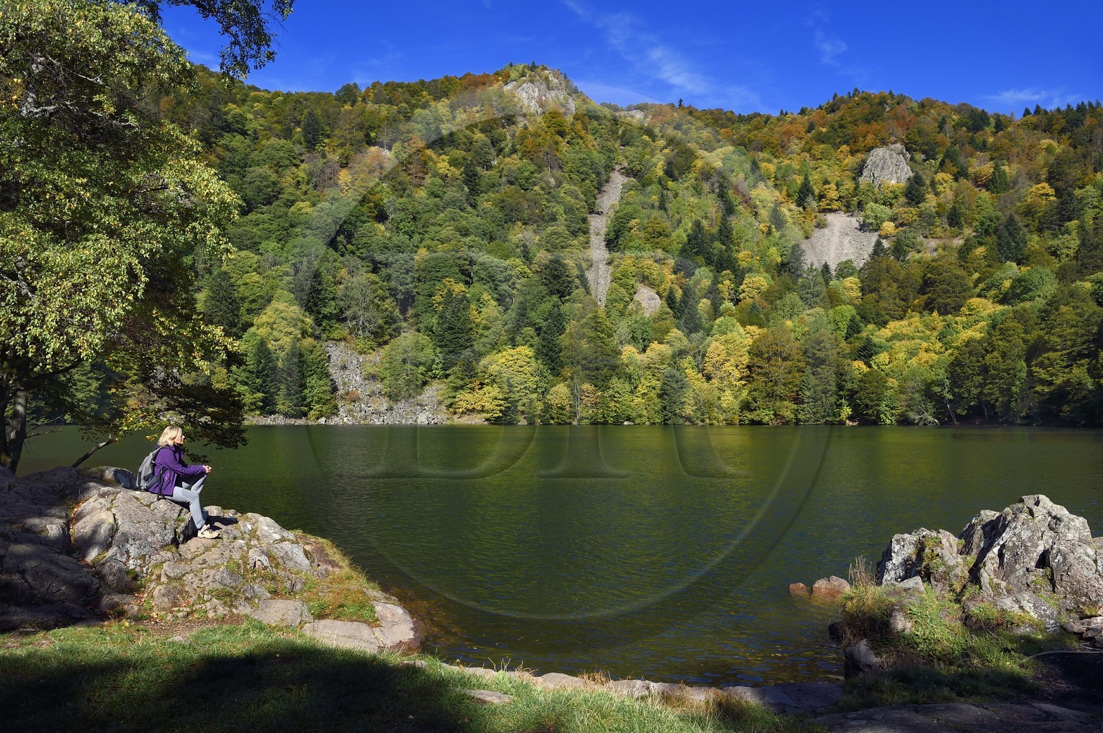 France, Haut-Rhin (68), Parc naturel régional des ballons des Vosges, Rimbach-près-Masevaux, randonneur au Lac des Perches en dessous de Gazon Rouge dans les Vosges