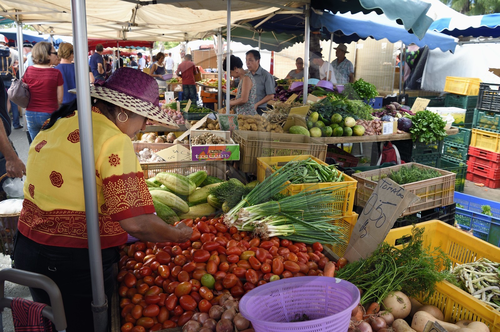 France, Ile de la Reunion, Saint-Pierre, le marché du samedi, les étals de fruits et légumes
