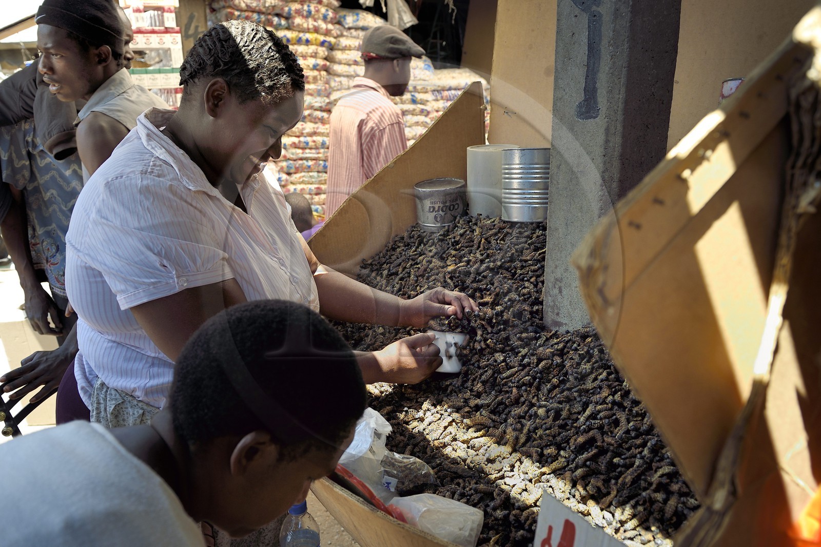Zimbabwe, Harare, Mbare market
