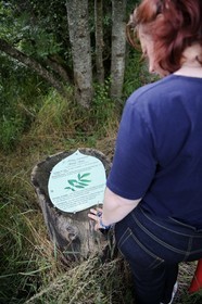 France, Nièvre (58), La Charité-sur-Loire, les bords de Loire le long du sentier du castor