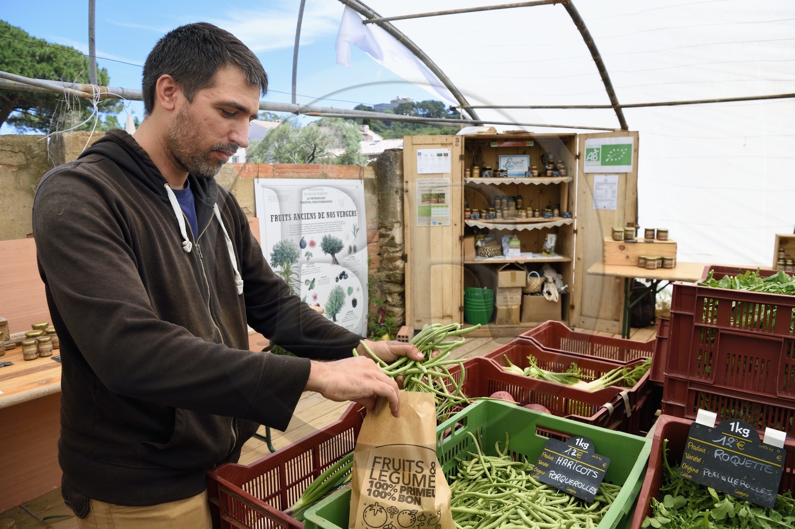 France, Var (83), Iles d'Hyères, parc national de Port Cros, Ile de Porquerolles, Morgan Aguila qui travaille pour l'organisation de réinsertion Copains et Les Jardins de Porquerolles producteur bio solidaire