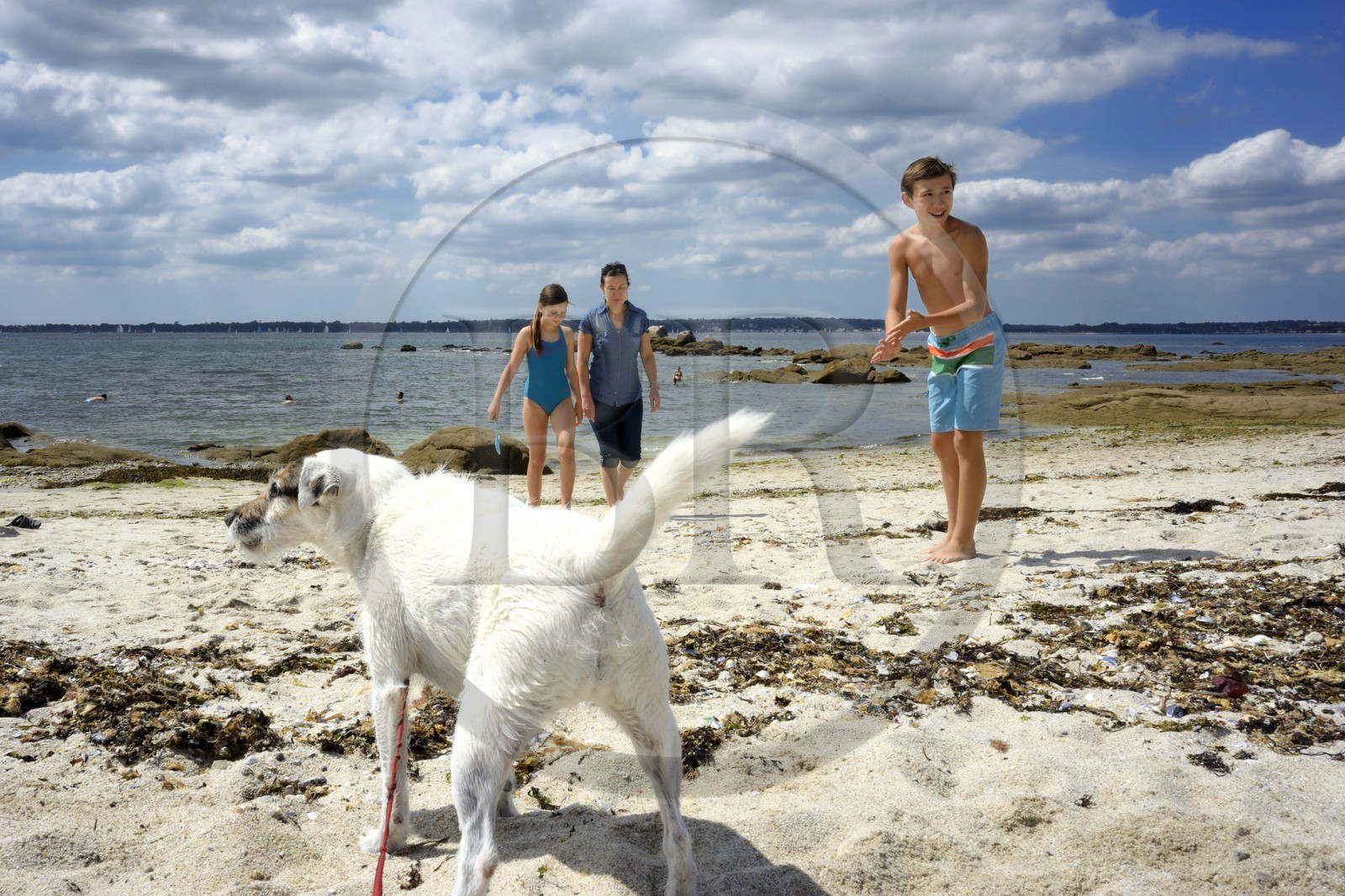 France, Finistere, Concarneau, beach of the Corniche
