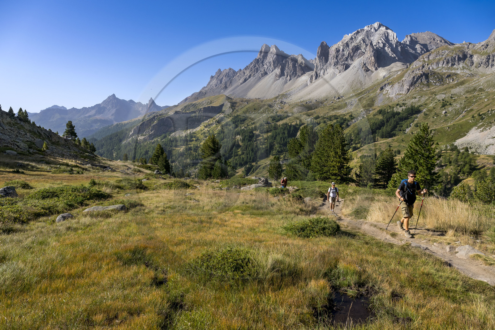 France, Hautes Alpes, Briancon region, Nevache, hikers in the Clarée valley, the Cerces massif in the background