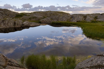 Sweden, Västra Götaland, Väderöarna (weather islands) off Fjällbacka, small lake