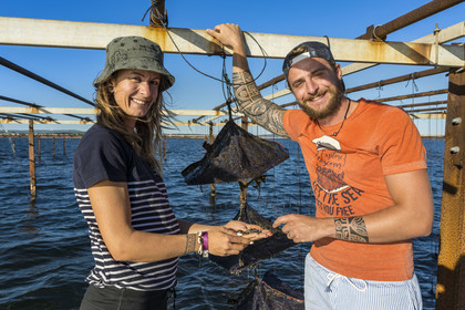 France, Hérault (34), Etang de Thau, Mèze, les producteurs de coquillages Quentin et Emmeline, jeunes huitres Ostrea edulis et naissains dans les paniers japonais
