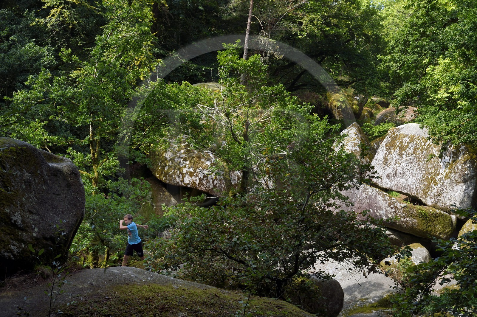 France, Finistère (29), parc naturel régional d'Armorique, Huelgoat, chaos granitique de la forêt du Huelgoat