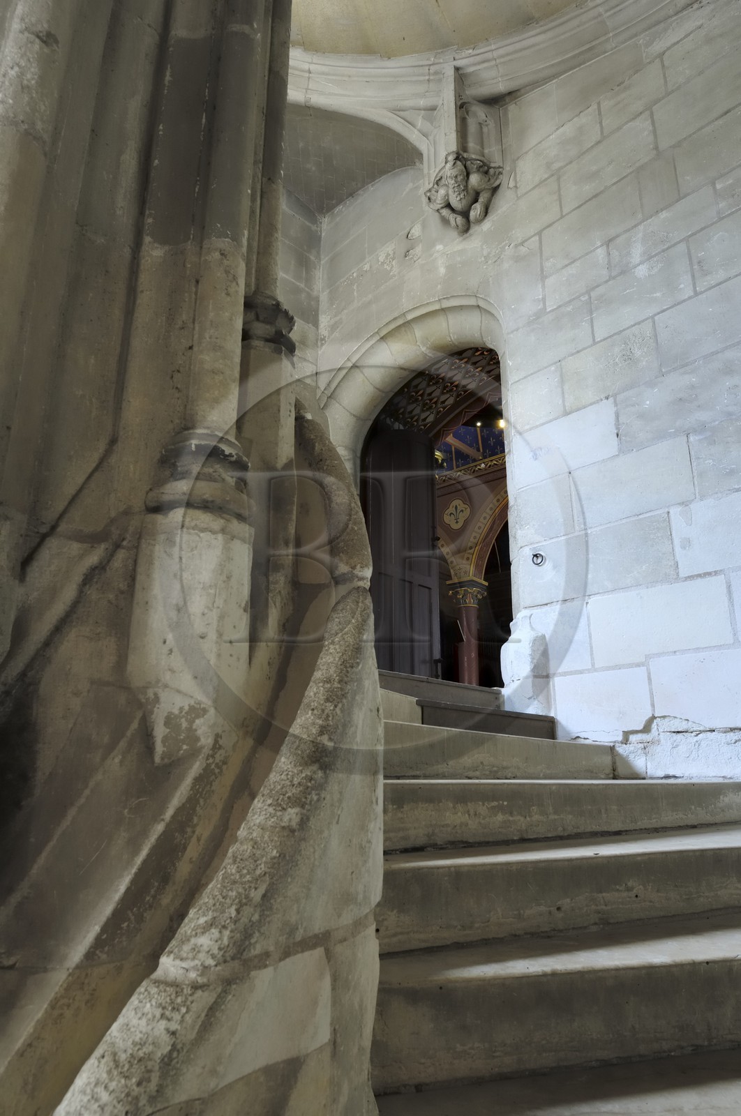 France, Loir-et-Cher (41), vallée de la Loire classée au Patrimoine Mondial de l'UNESCO, château de Blois, escalier menant à la salle des Etats
