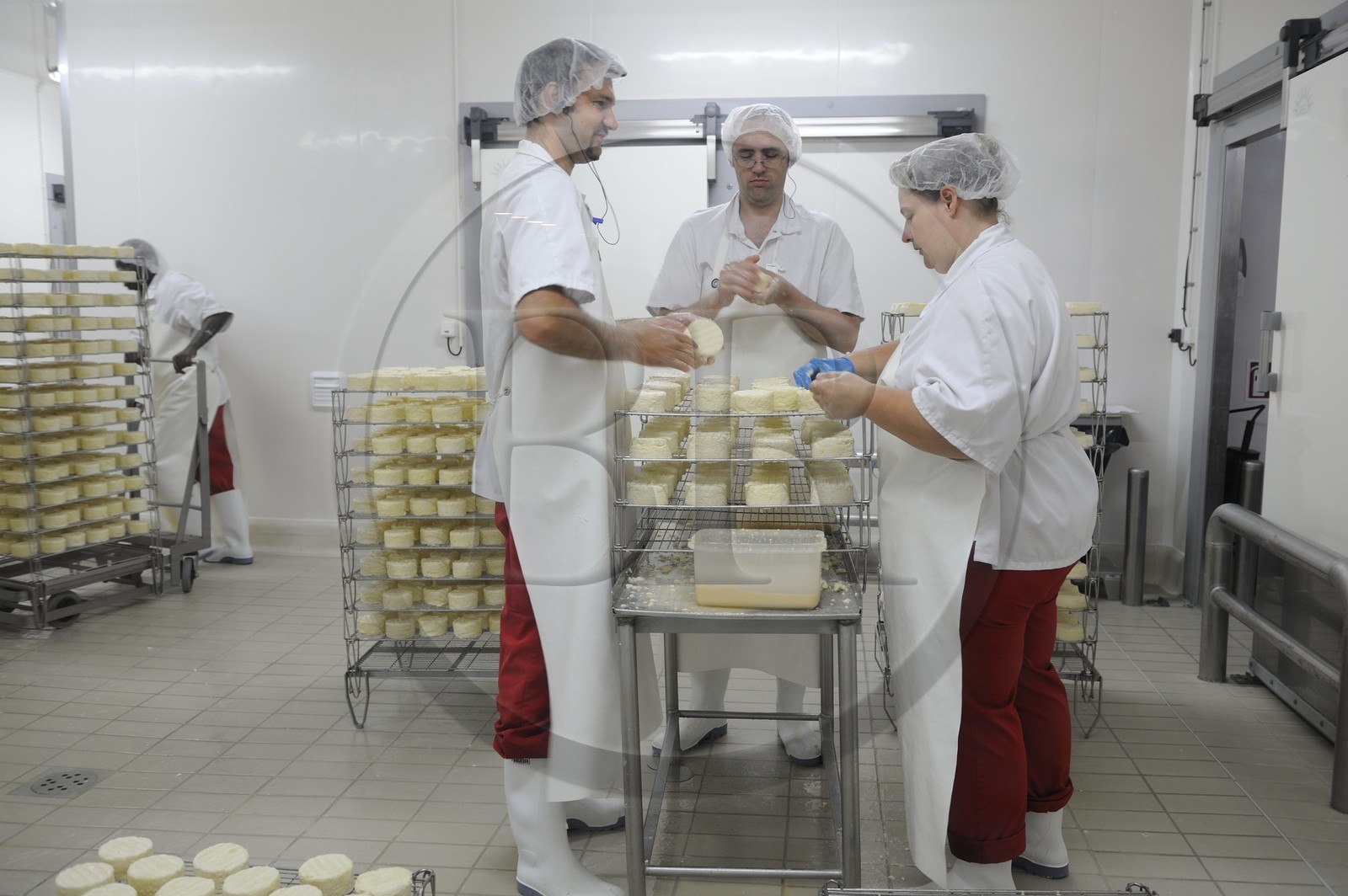France, Côte d'Or (21), Brochon, entreprise de fromage Gaugry