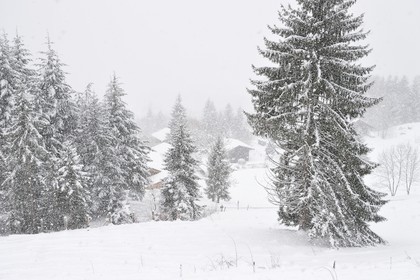 France, Haute Savoie, Les Carroz d'Araches ski resort, Araches la Frasse village