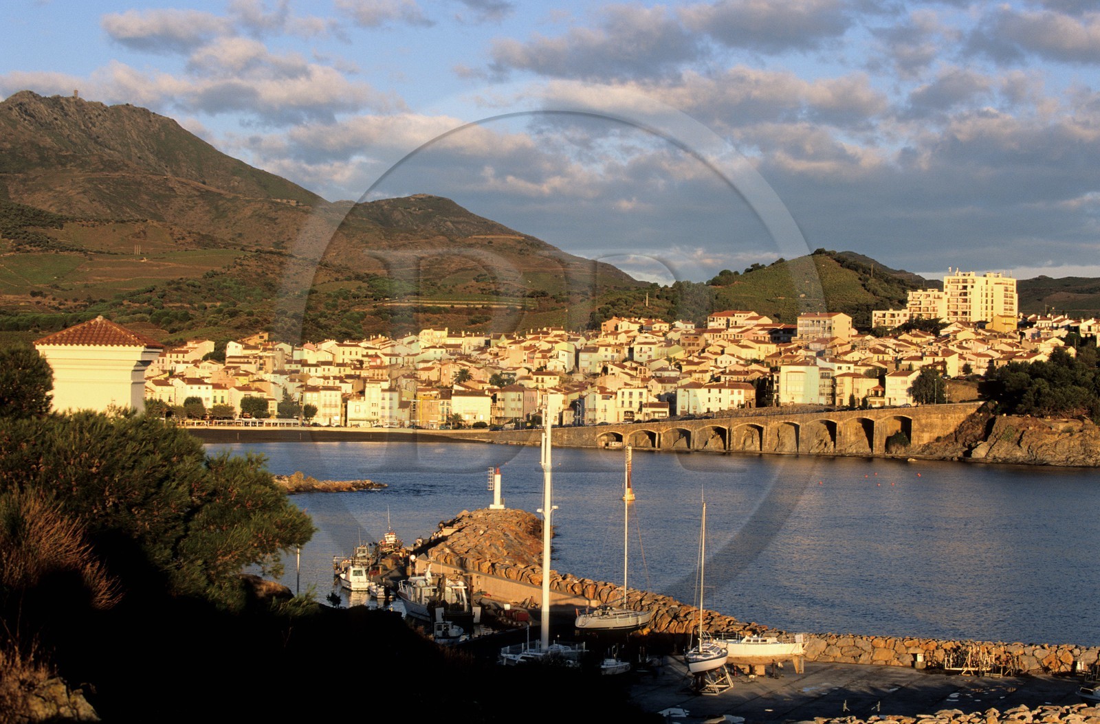 France, Pyrenees Orientales, Banyuls sur Mer and it's vineyards on the cote Vermeille (Vermillion Coast)
