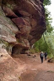 France, Bas-Rhin, Parc regional des Vosges du nord (Northern Vosges Regional Natural Park), La Petite Pierre, hikers on the Trois Roches trail at the Rocher des Paiens (Rock of the Pagans)