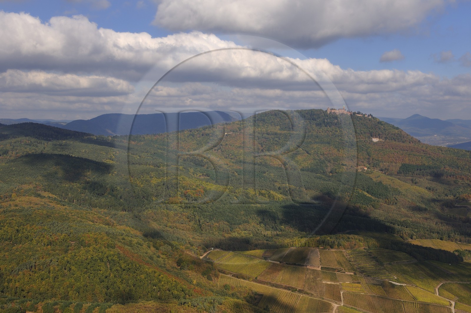 France, Bas-Rhin (67), le château du Haut-Koenigsbourg et les vignobles du Haut-Rhin au pied du Parc Régional des Ballons (photo aérienne)