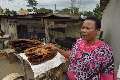 Gabon, Province de Moyen-Ogooué, étal de poissons Capitaine sechés sur la Route National 1