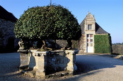 France, Morbihan (56), Rochefort-en-Terre, le grand puits circulaire du château