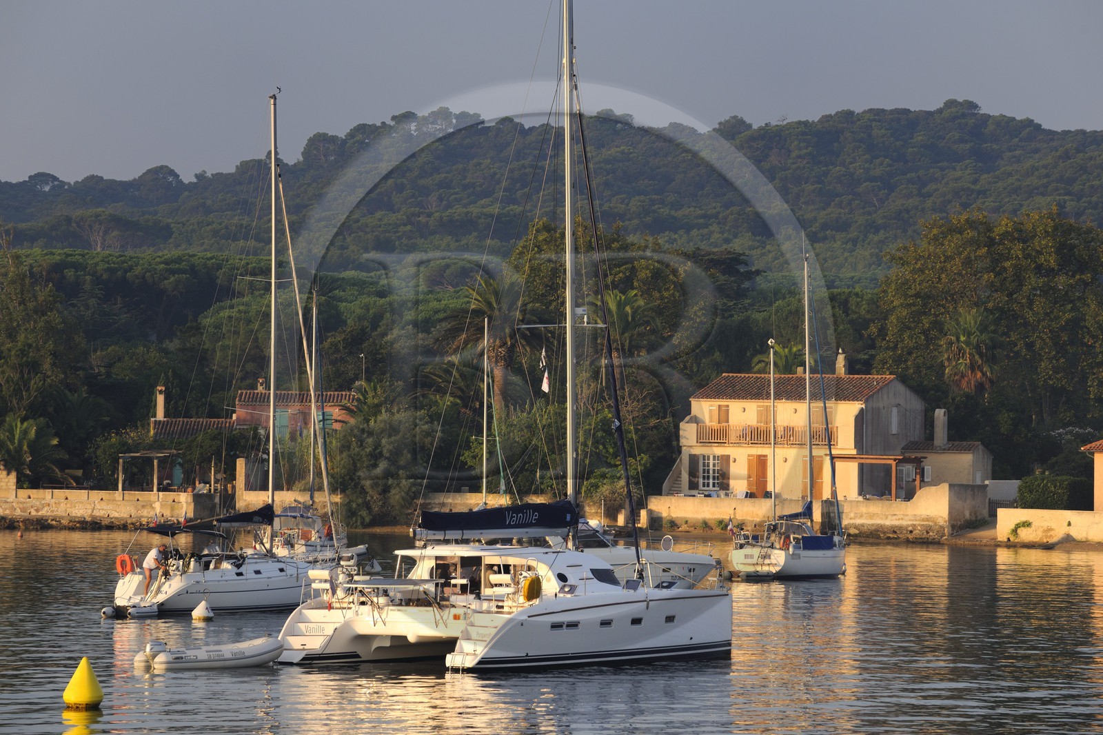 France, Var, Iles d'Hyeres, National Park of Port Cros, ile de Porquerolles, the port of the village