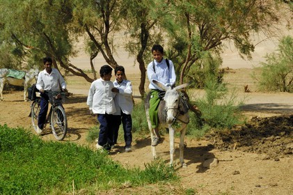 Egypt, Libyan desert, Abu Mungar oasis north of Farafra, returning from school on a donkey