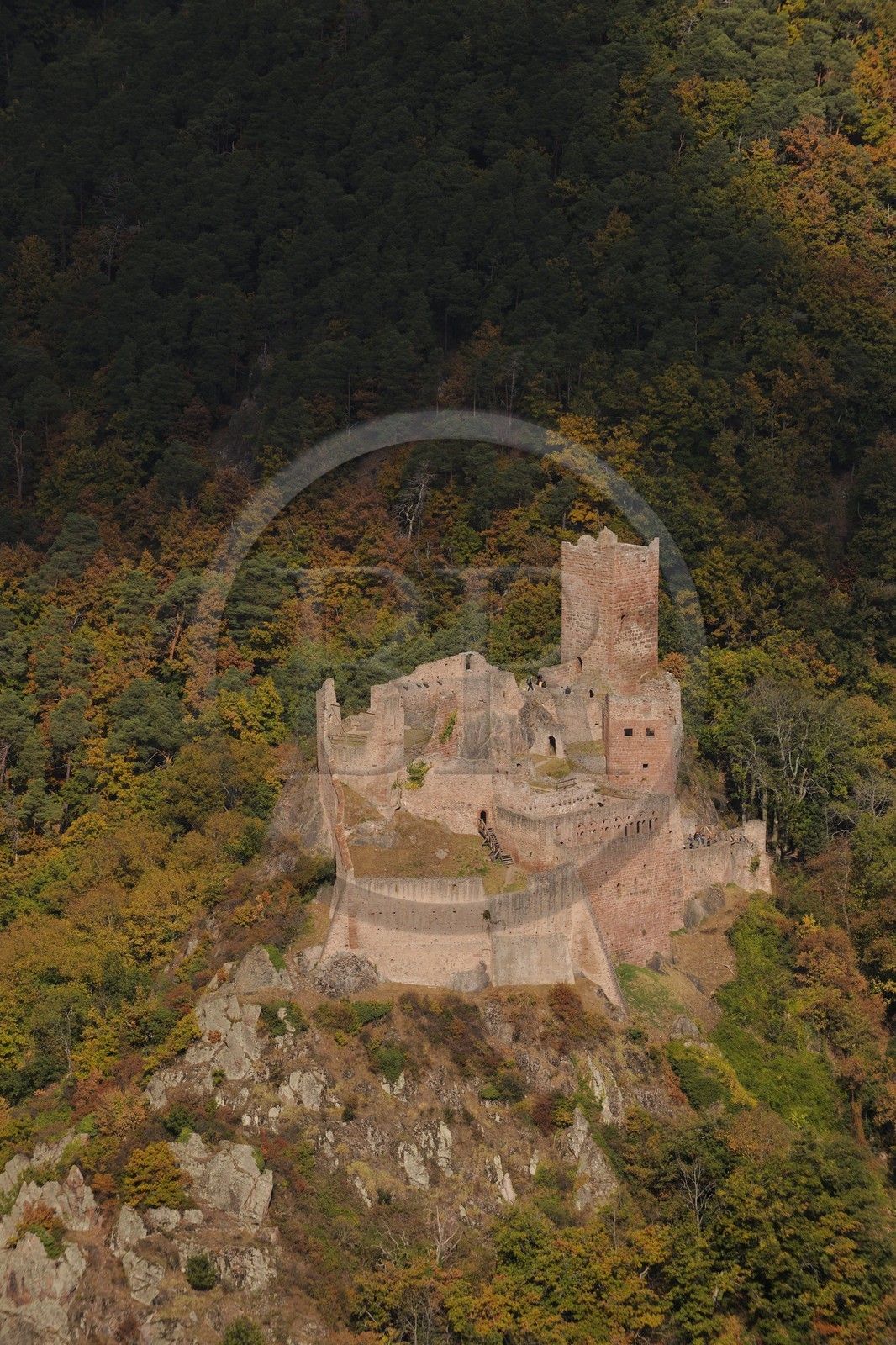 France, Haut-Rhin (68), Ribeauvillé, châteaux Saint-Ulrich (photo aérienne)
