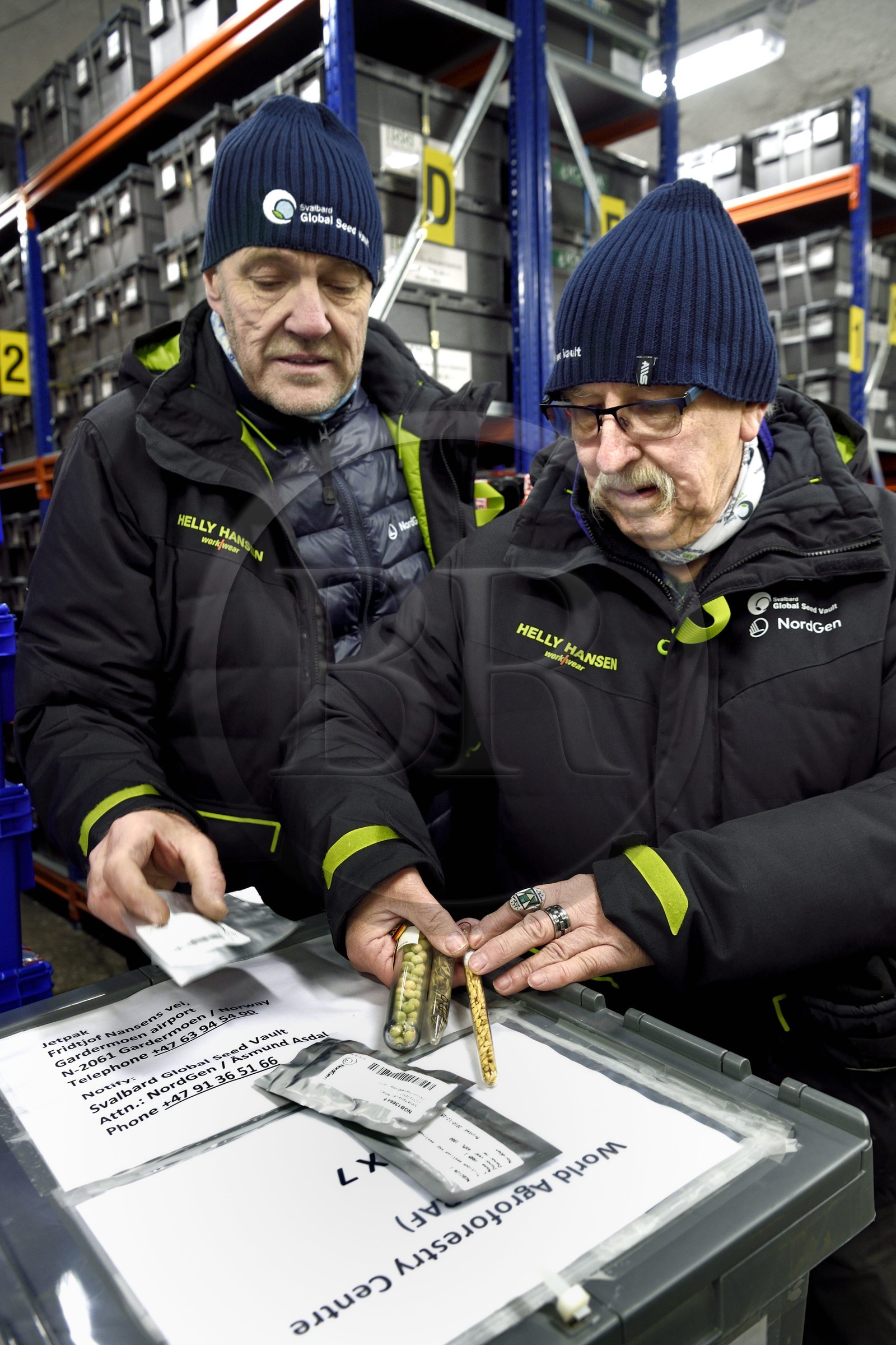 Norvège, Svalbard, Spitzberg, Longyearbyen, la Réserve mondiale de semences du Svalbard (banque de graines du Global Seed Vault), salle de stockage des semences artificiellement maintenue à -18°C, près de 900000 échantillons ont été déposés, provenant de 200 pays d'origine et de 73 instituts déposants, Åsmund Asdal et Roland von Bothmer (à droite) de NordGen présentent les nouveaux moyens de stockage des semences en sachet aluminium sous vide et les anciens en tube de verre