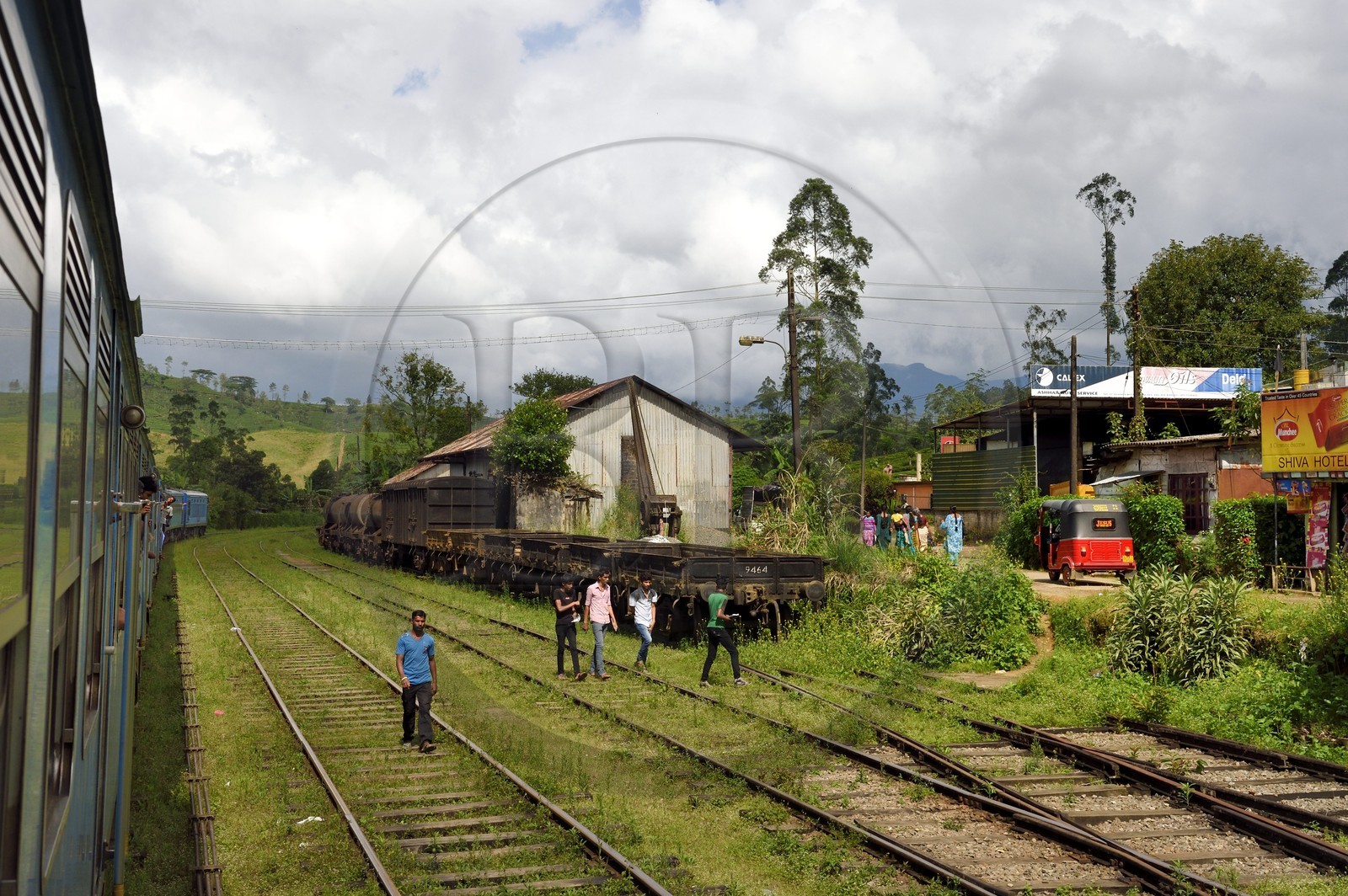 Sri Lanka, Province du Centre, trajet en train dans la région montagneuse de la culture du thé entre Hatton et Badulla, gare de Rotagala