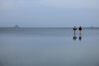 France, Manche (50), Baie du Mont-Saint-Michel, le pêcheur de grêve Guy Jugan allant relever ses filets de crevettes grises