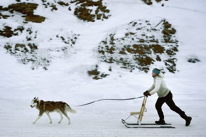 Norvège, Svalbard, Spitzberg, Longyearbyen, promenade avec son chien en traineau