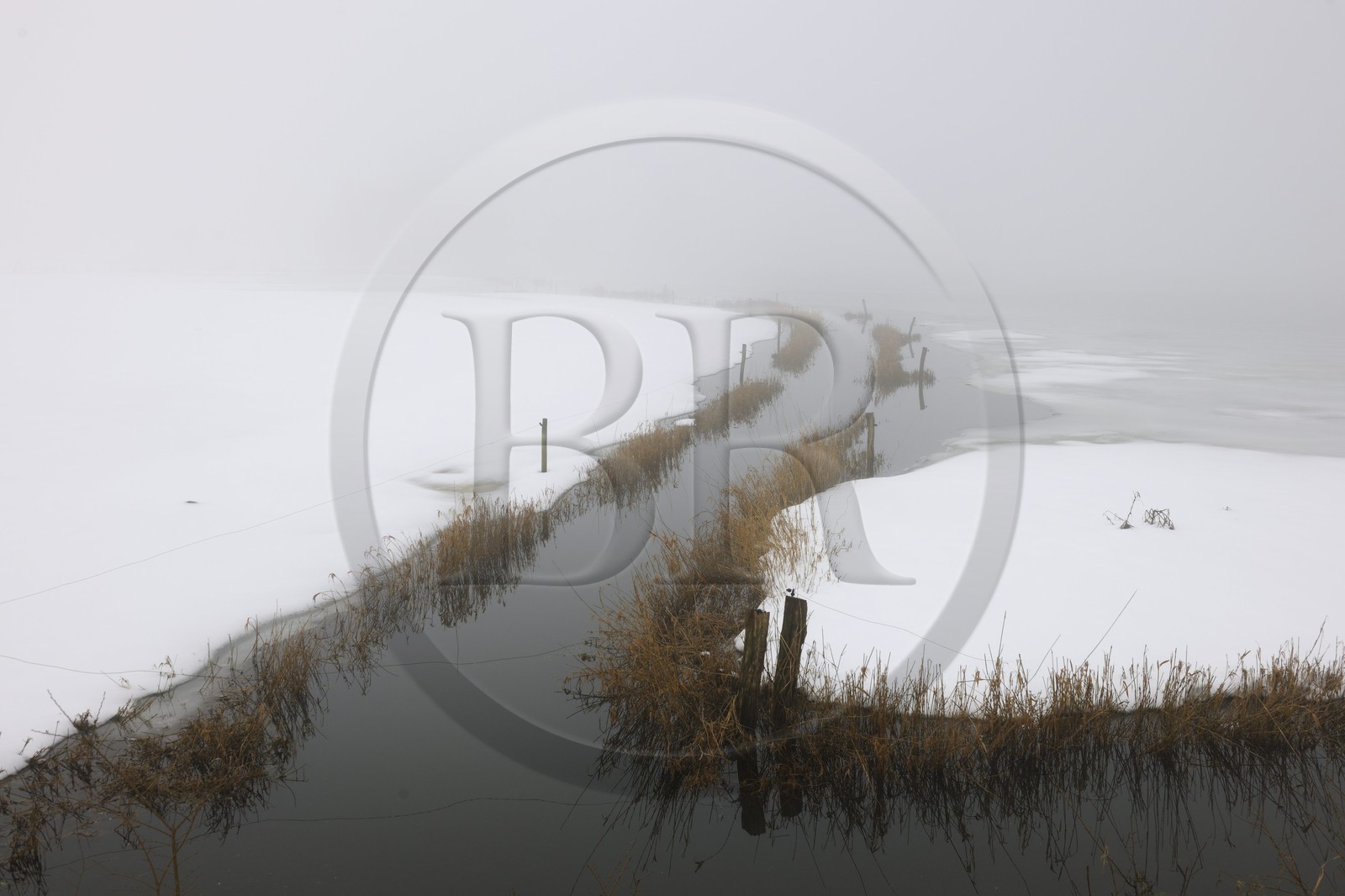 France, Manche, Cotentin, marshes of la Douve towards Liesville sur Douve