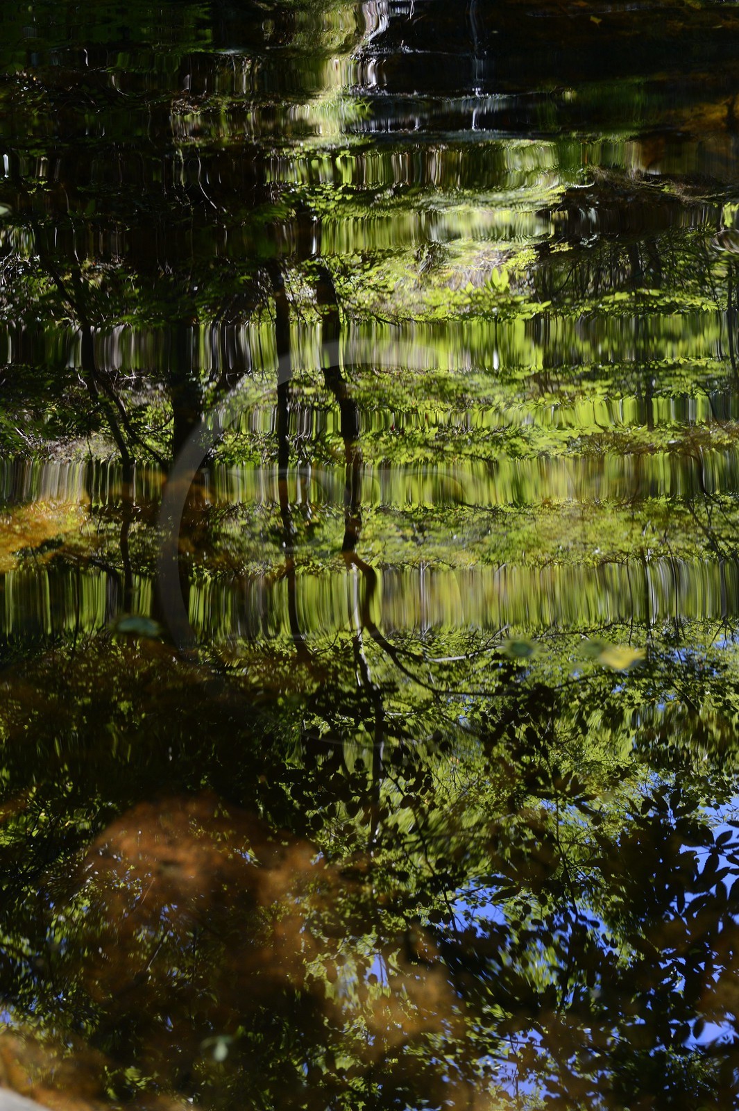 France, Ardèche (07), Parc Naturel Régional des Monts d'Ardèche, Thueyts, la haute-vallée de la rivière Ardèche
