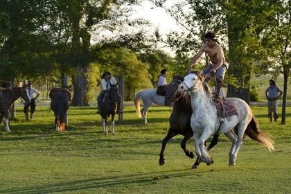 Argentine, province de Buenos Aires, San Antonio de Areco, estancia La Bamba de Areco, demonstration du savoir-faire d'un cavalier amerindien avec son cheval