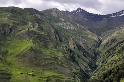 Géorgie, Kakheti, Parc national de Touchétie, vallée de la rivière Alazani dans les montagnes de Pirikiti, hameau à l'Est du village de Dartlo, ruines de tours médiévales fortifiées