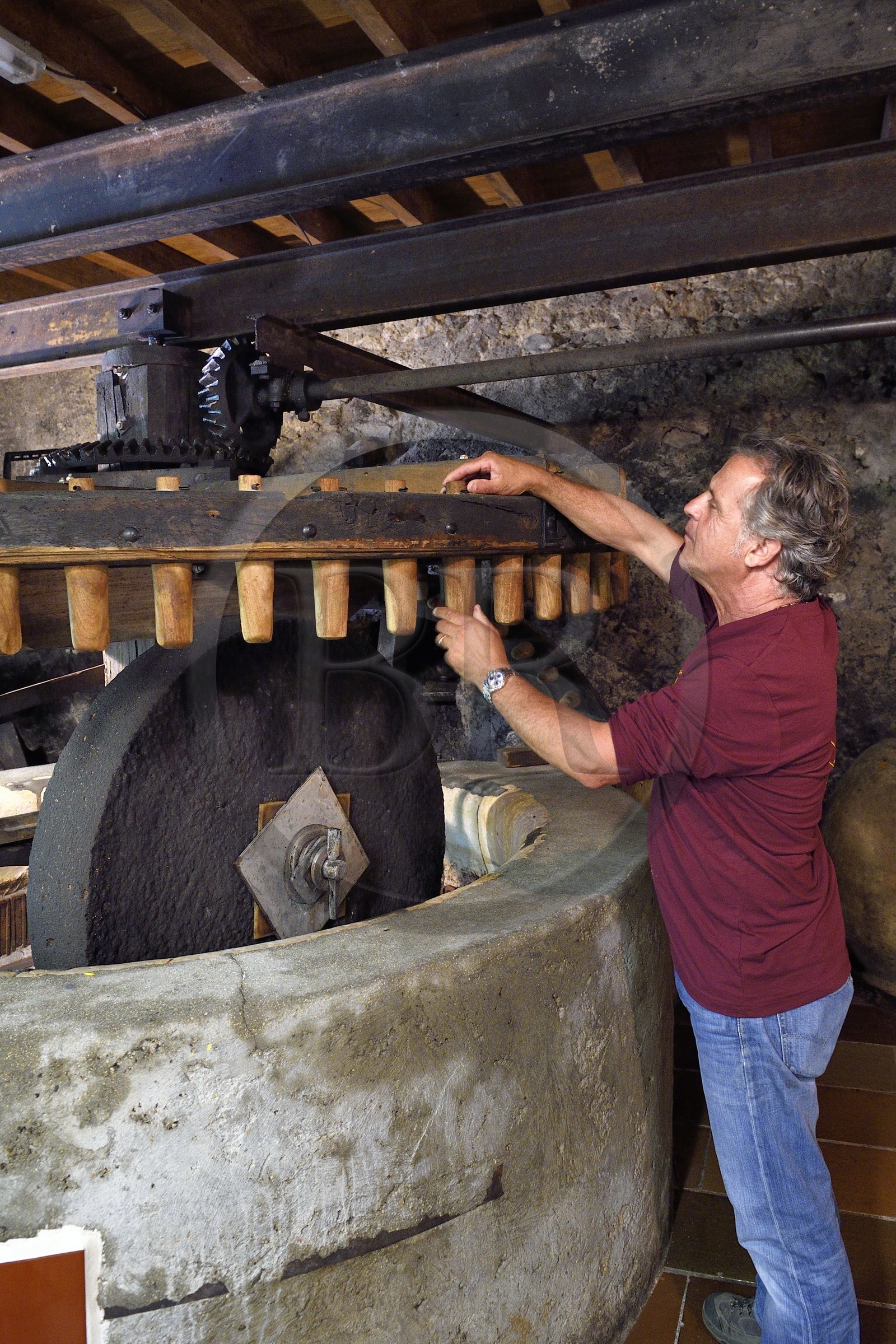 France, Var (83), La Dracénie, village de Tourtour, labellisé Les Plus Beaux Villages de France, le maitre moulinier Jean-Marc Simon devant le moulin oléicole communal